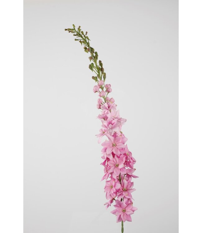 Delphinium w/24flrs 131cm lila