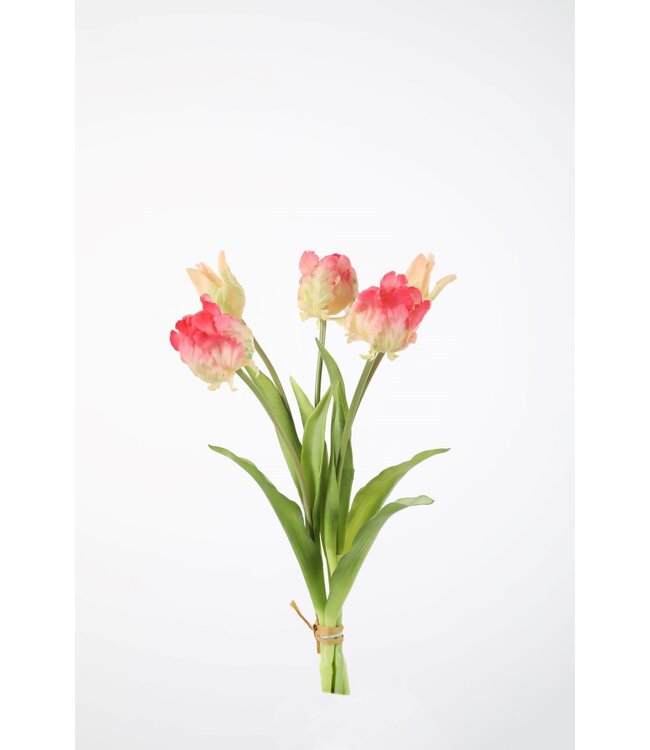 Papegaaitulp  roze/geel 1 STUK