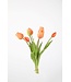 Tulp zalm  41 cm knop