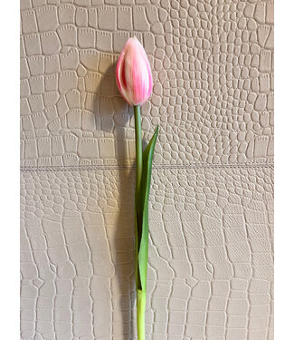 Tulp lichtroze 41 cm knop