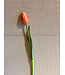 Tulp zalm  41 cm knop