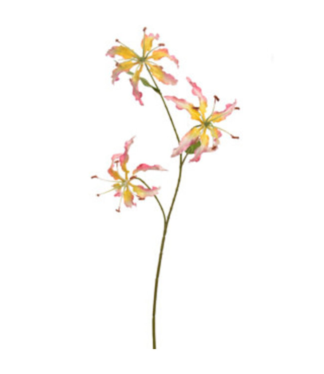 GLORIOSA X3 SPRAY 64CM PINK