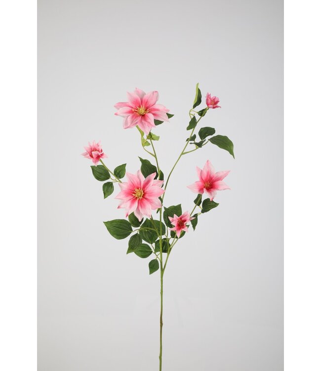 Clematis Spray 114cm