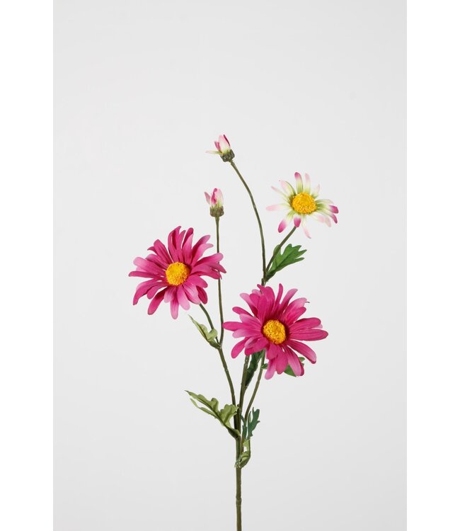 Daisy Spray x3 65cm fuchsia