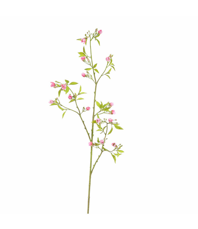 PEACH BLOSSOM 105CM PINK