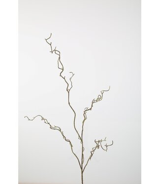 Twig Spray 115cm