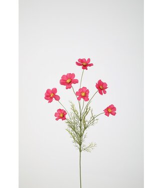 Cosmos Spray x7 77cm pink