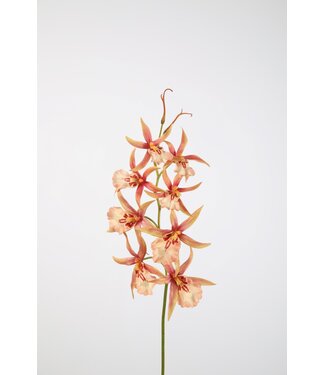 Orchid Stem 88cm roze