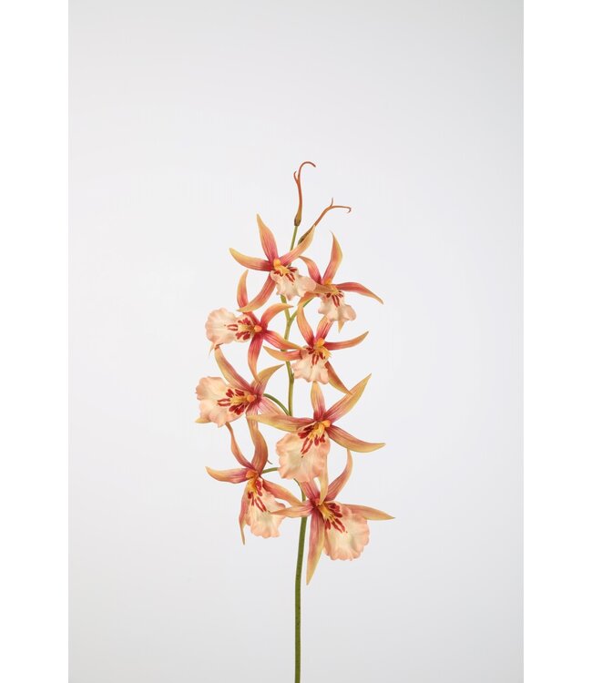 Orchid Stem 88cm roze