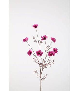 Cosmos Spray 77cm fuchsia