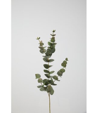 Eucalyptus Spray 81cm
