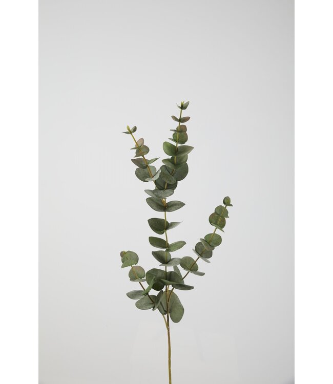 Eucalyptus Spray 81cm