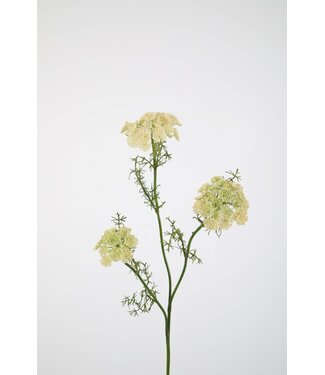 Queen Anne's Lace Spray 72cm