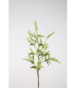 Japonica Pieris Spray 105cm