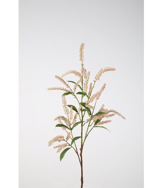 Japonica Pieris Spray roze 105cm