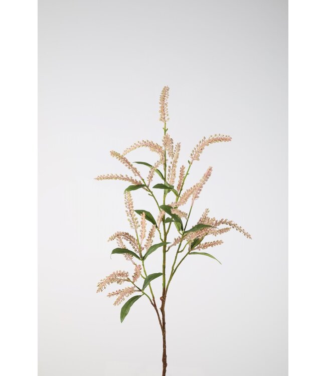 Japonica Pieris Spray roze 105cm