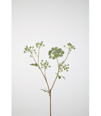 Angelica Stem 90cm