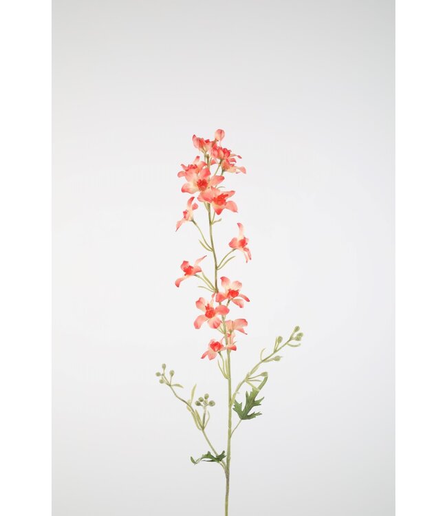 Delphinium Stem 100cm zalm/roze