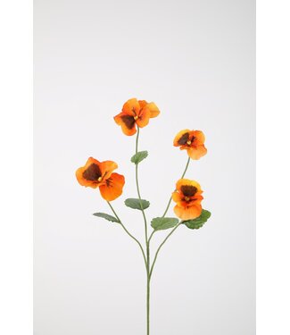 Pansy Spray oranje