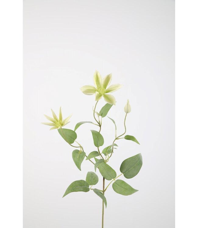 Clematis Spray 74cm