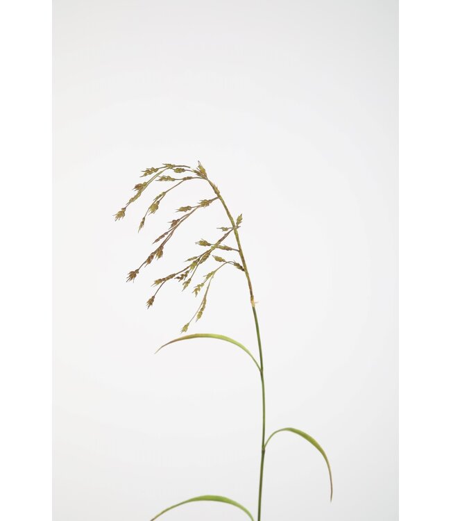 Wheat Stem 94cm