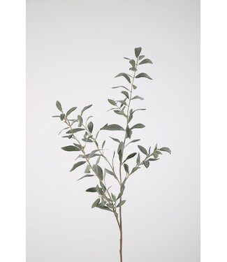 Olive lvs Spray 112cm