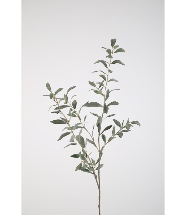 Olive lvs Spray 112cm