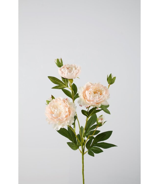 Peony Spray 76cm peach