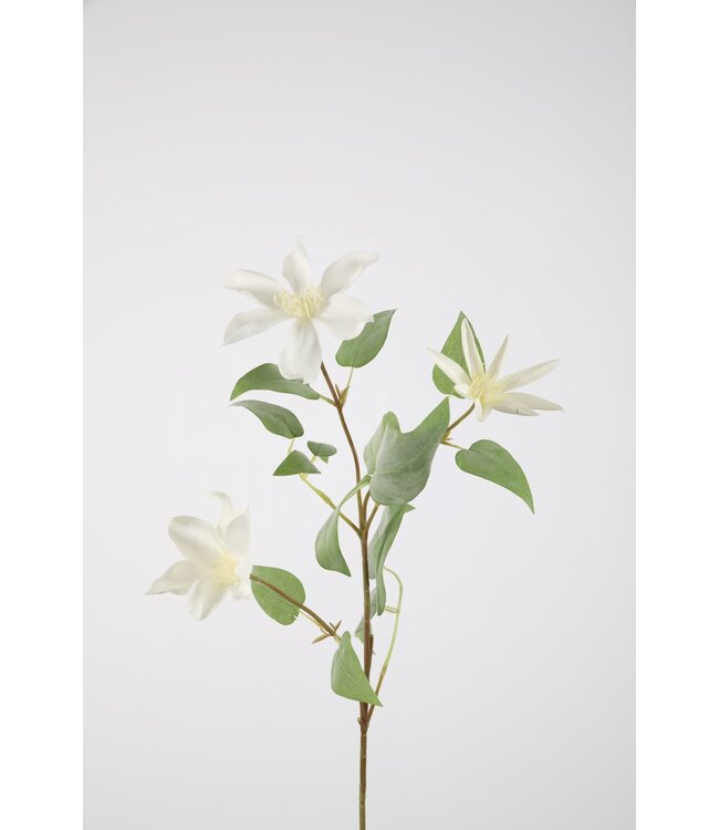 Clematis Spray 86cm wit