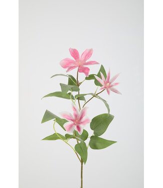 Clematis Spray 86cm pink