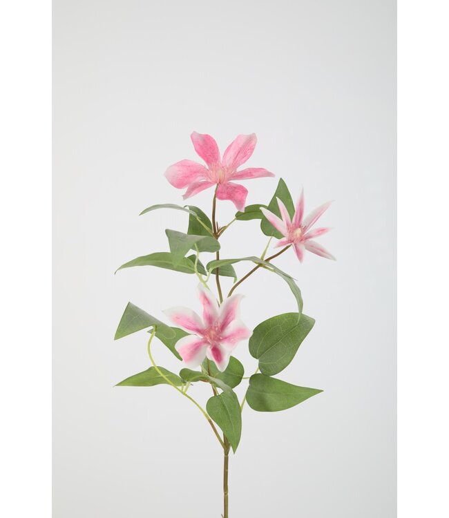Clematis Spray 86cm pink
