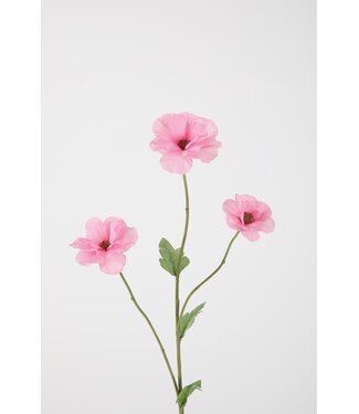 Ranunculus Butterfly 61cm pink