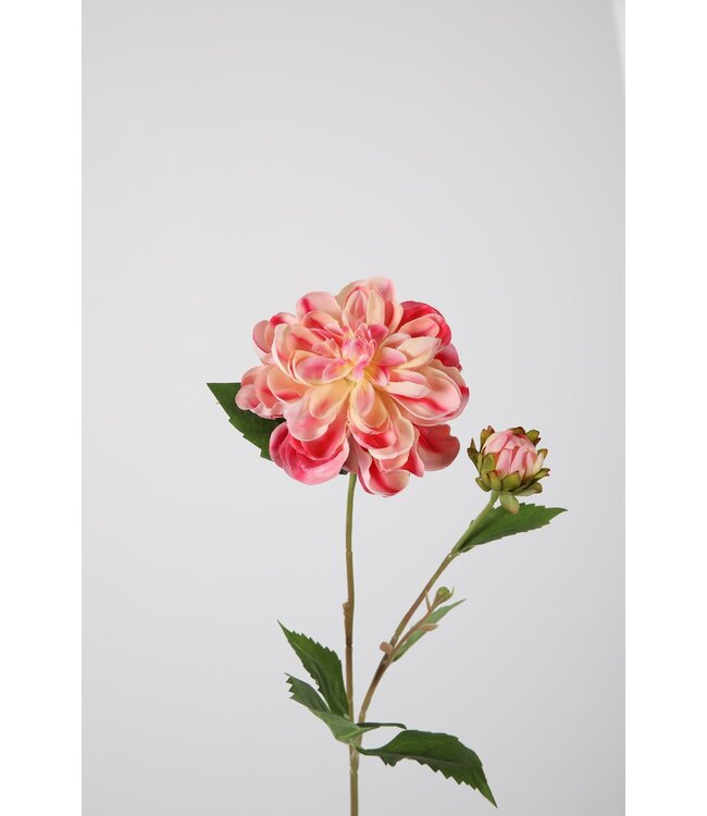 Dahlia Diva Spray 57cm Dia 12cm pink