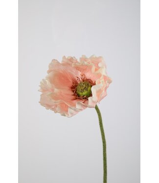 Giant Poppy Single Stem 75cm Dia 15cm