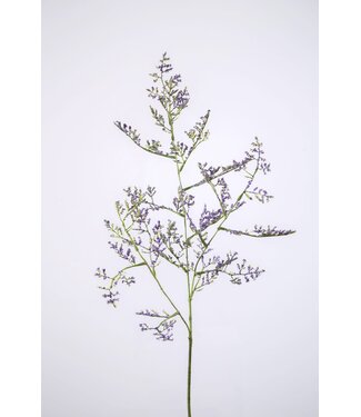 Limonium Spray x3 90cm lavendel