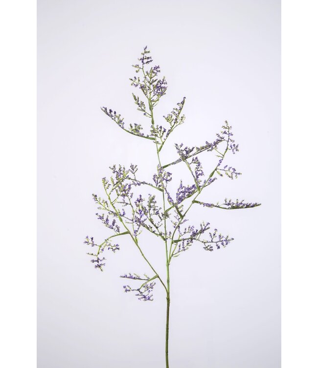 Limonium Spray x3 90cm lavendel