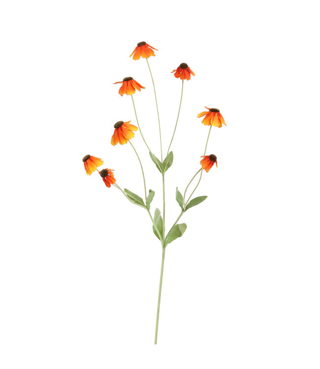 RUDBECKIA SPRAY 88CM ORANJE