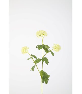 Snowball Branch x3 69cm creme/groen