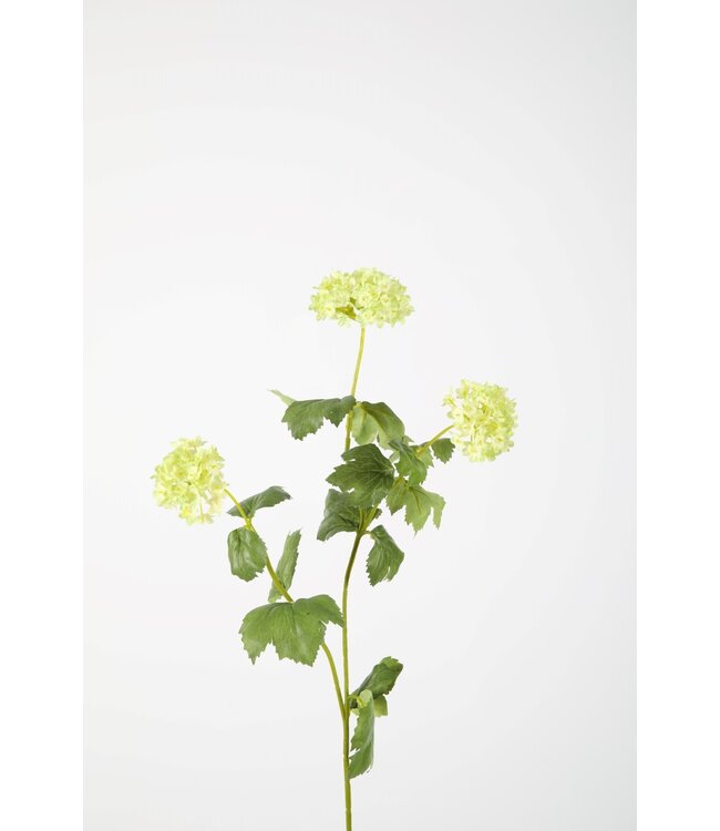 Snowball Branch x3 69cm lichtgroen