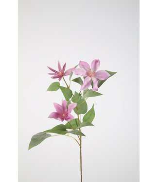 Clematis Spray 86cm lila