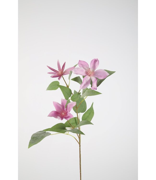 Clematis Spray 86cm lila