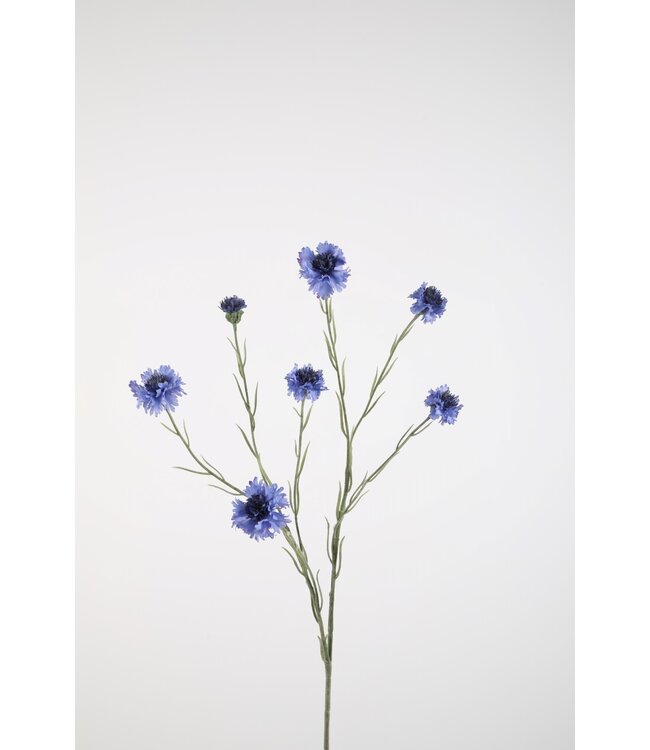 Cornflower Spray 89cm donkerblauw