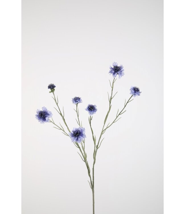 Cornflower Spray 89cm lichtblauw