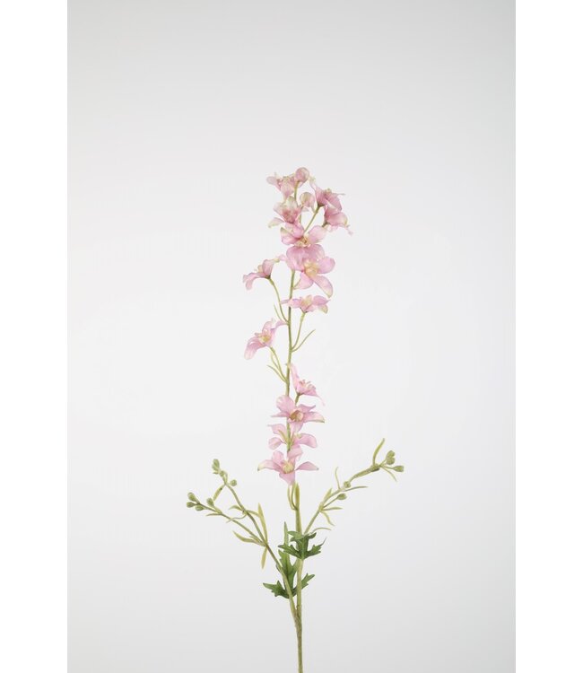 Delphinium Stem 100cm lila