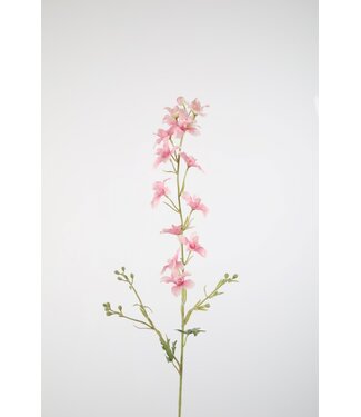 Delphinium Stem 100cm pink