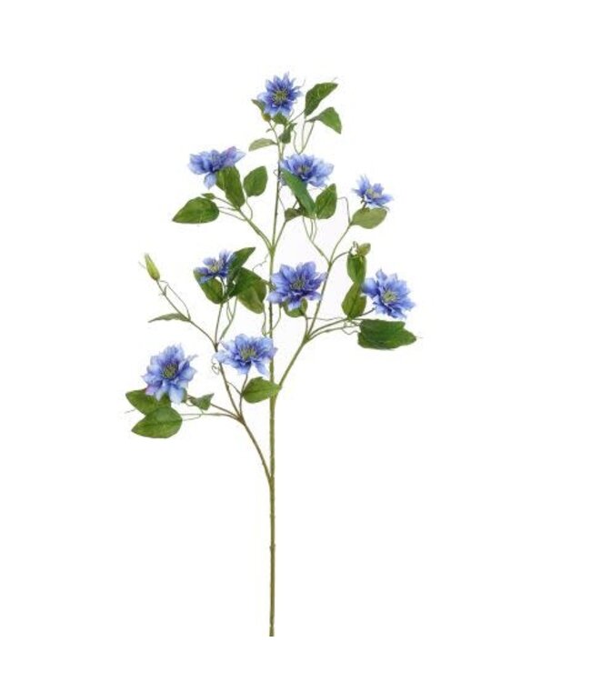 CLEMATIS DIAMANTINA 115CM BLAUW