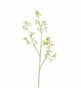PEACH BLOSSOM 105CM PEACH