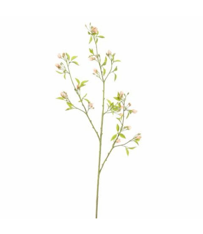 PEACH BLOSSOM 105CM PEACH