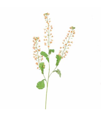 Rapeseed  flower 110 cm Zalm
