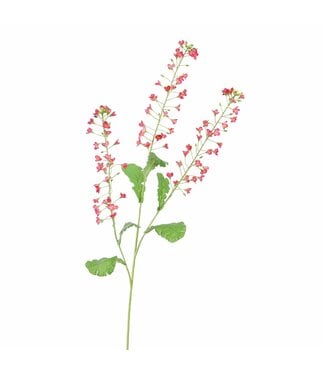 Rapeseed  flower 110 cm Beauty